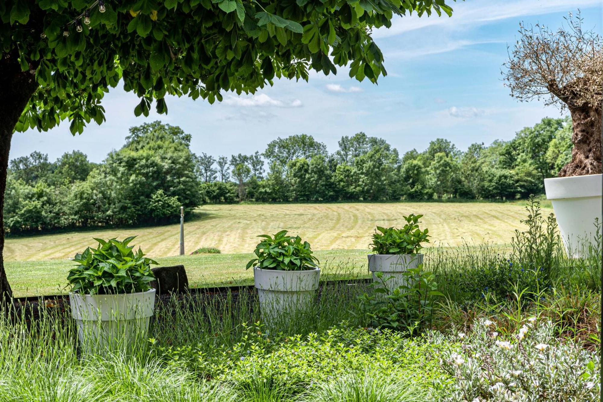Maison De La Bonne Vie Therondels Værelse billede